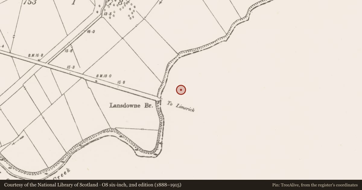 Ordnance Survey six-inch map, 2nd edition (1888–1915) covering the location of Brickworks, Clondrinagh, County Limerick, with a pin at the register's coordinates