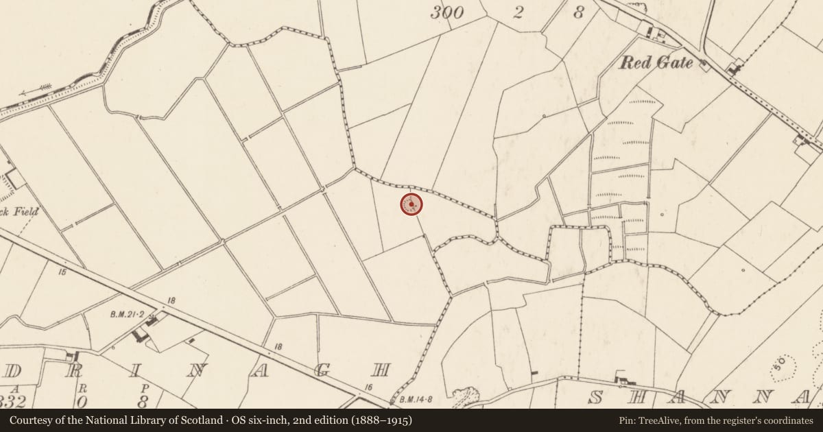 Ordnance Survey six-inch map, 2nd edition (1888–1915) covering the location of Cairn - burial cairn, Clondrinagh, County Limerick, with a pin at the register's coordinates