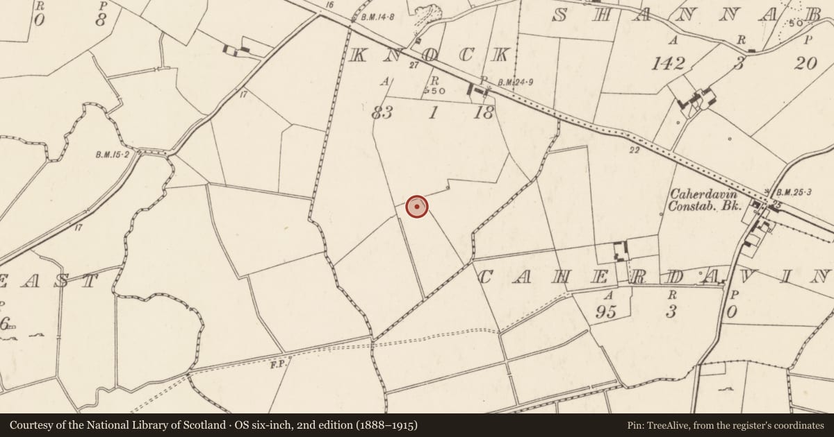 Ordnance Survey six-inch map, 2nd edition (1888–1915) covering the location of Ringfort - rath, Knock, County Limerick, with a pin at the register's coordinates