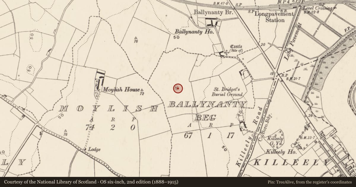 Ordnance Survey six-inch map, 2nd edition (1888–1915) covering the location of Enclosure, Ballynanty Beg, County Limerick, with a pin at the register's coordinates