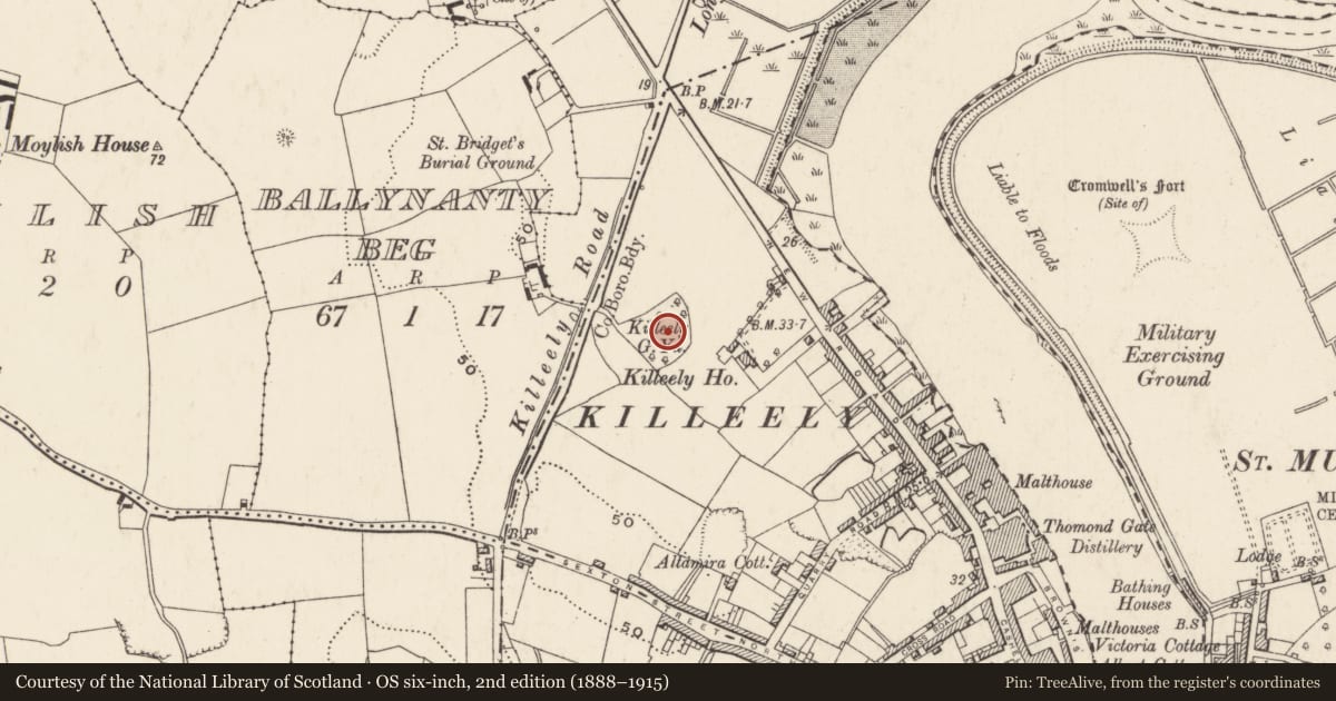 Ordnance Survey six-inch map, 2nd edition (1888–1915) covering the location of Church, Limerick City, Glebe (Limerick Municipal Borough), County Limerick, with a pin at the register's coordinates