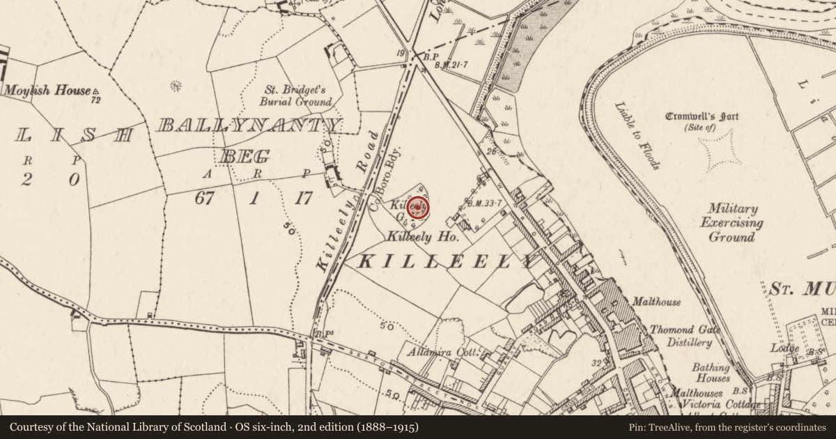 Ordnance Survey six-inch map, 2nd edition (1888–1915) covering the location of Graveyard, Limerick City, Glebe (Limerick Municipal Borough), County Limerick, with a pin at the register's coordinates