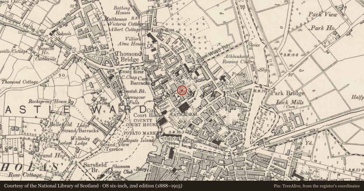 Ordnance Survey six-inch map, 2nd edition (1888–1915) covering the location of Historic town, County Limerick, with a pin at the register's coordinates