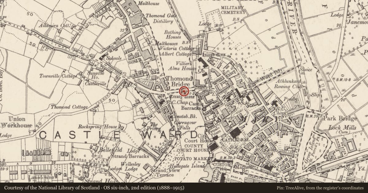 Ordnance Survey six-inch map, 2nd edition (1888–1915) covering the location of Bridge, County Limerick, with a pin at the register's coordinates
