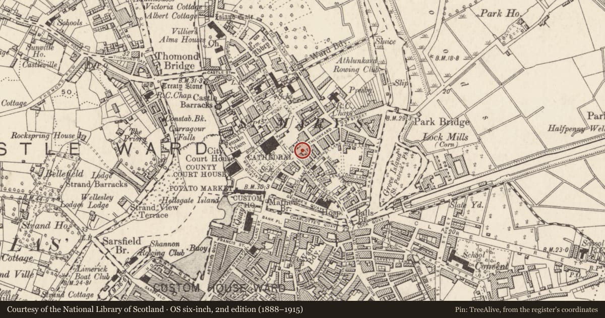 Ordnance Survey six-inch map, 2nd edition (1888–1915) covering the location of House - medieval, Englishtown, Limerick City, County Limerick, with a pin at the register's coordinates
