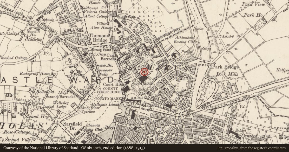 Ordnance Survey six-inch map, 2nd edition (1888–1915) covering the location of House - medieval, Englishtown, Limerick City, County Limerick, with a pin at the register's coordinates
