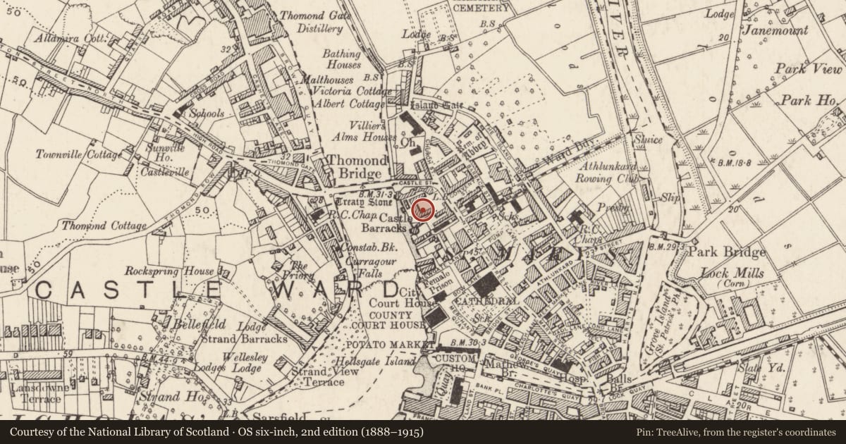 Ordnance Survey six-inch map, 2nd edition (1888–1915) covering the location of Castle - Anglo-Norman masonry castle, Englishtown, Limerick City, County Limerick, with a pin at the register's coordinates