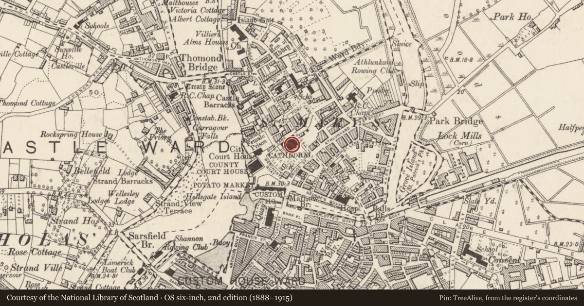 Ordnance Survey six-inch map, 2nd edition (1888–1915) covering the location of Graveslab, Limerick City, Englishtown, County Limerick, with a pin at the register's coordinates