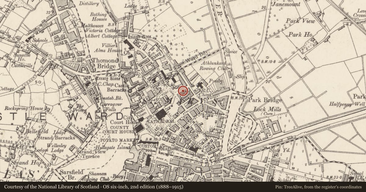Ordnance Survey six-inch map, 2nd edition (1888–1915) covering the location of Religious house - Augustinian nuns, Limerick City, Englishtown, County Limerick, with a pin at the register's coordinates