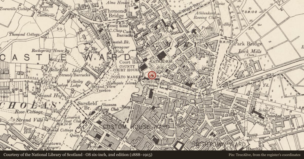 Ordnance Survey six-inch map, 2nd edition (1888–1915) covering the location of Quay, Limerick City, County Limerick, with a pin at the register's coordinates