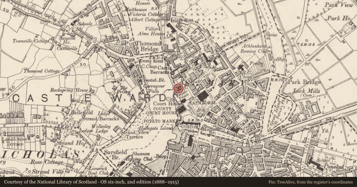 Ordnance Survey six-inch map, 2nd edition (1888–1915) covering the location of Mill - unclassified, Limerick City, Englishtown, County Limerick, with a pin at the register's coordinates