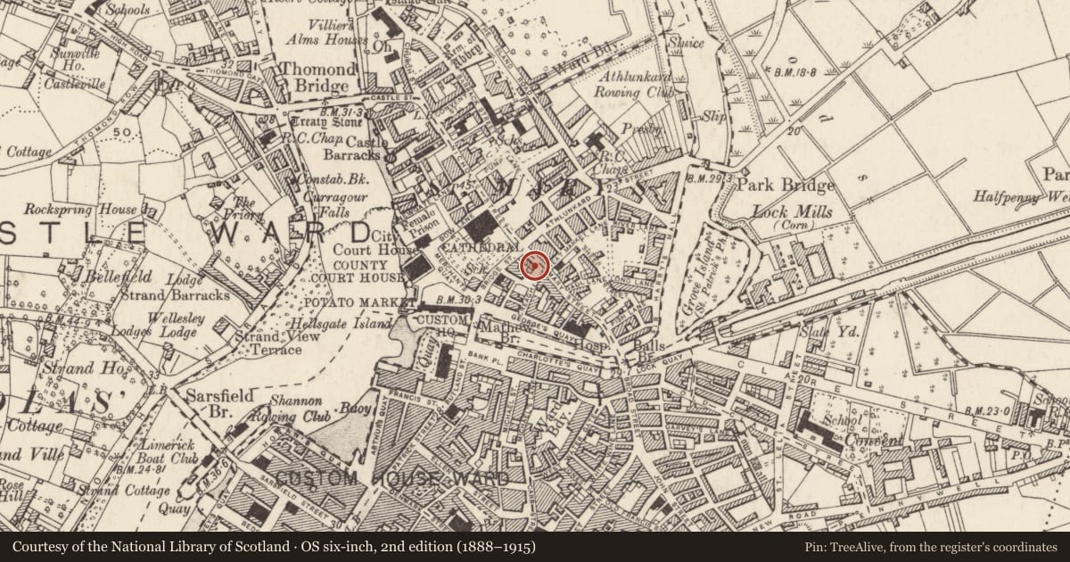 Ordnance Survey six-inch map, 2nd edition (1888–1915) covering the location of Excavation - miscellaneous, Limerick City, Englishtown, County Limerick, with a pin at the register's coordinates