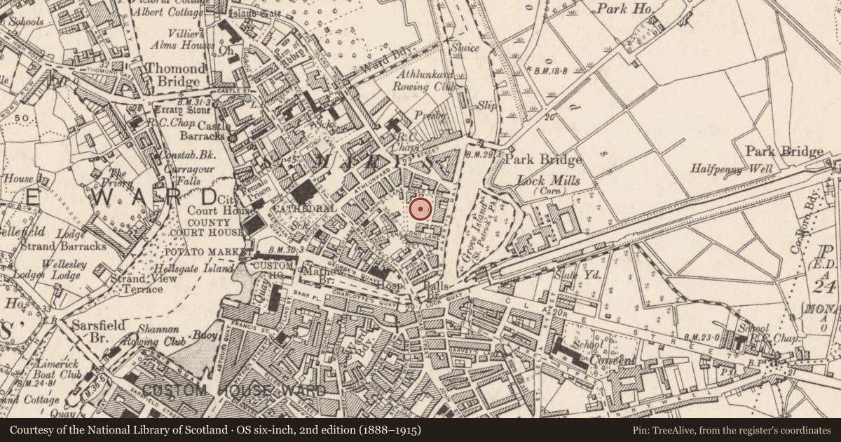 Ordnance Survey six-inch map, 2nd edition (1888–1915) covering the location of Burial ground, Limerick City, Saint Francis Abbey, County Limerick, with a pin at the register's coordinates