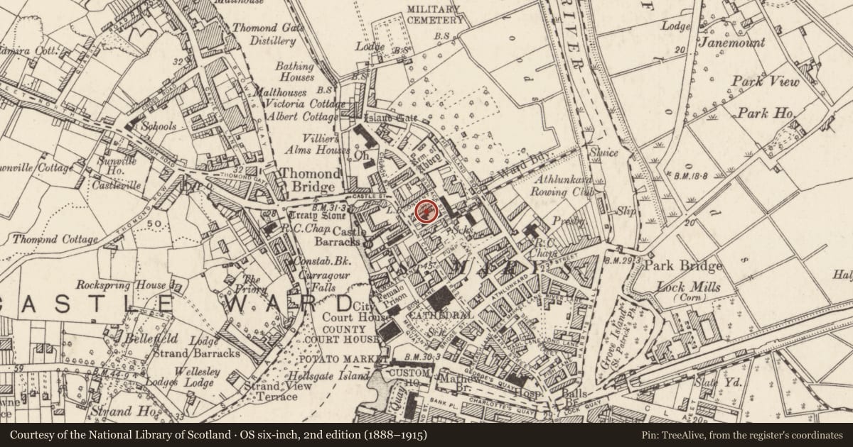 Ordnance Survey six-inch map, 2nd edition (1888–1915) covering the location of Excavation - miscellaneous, Limerick City, Englishtown, County Limerick, with a pin at the register's coordinates