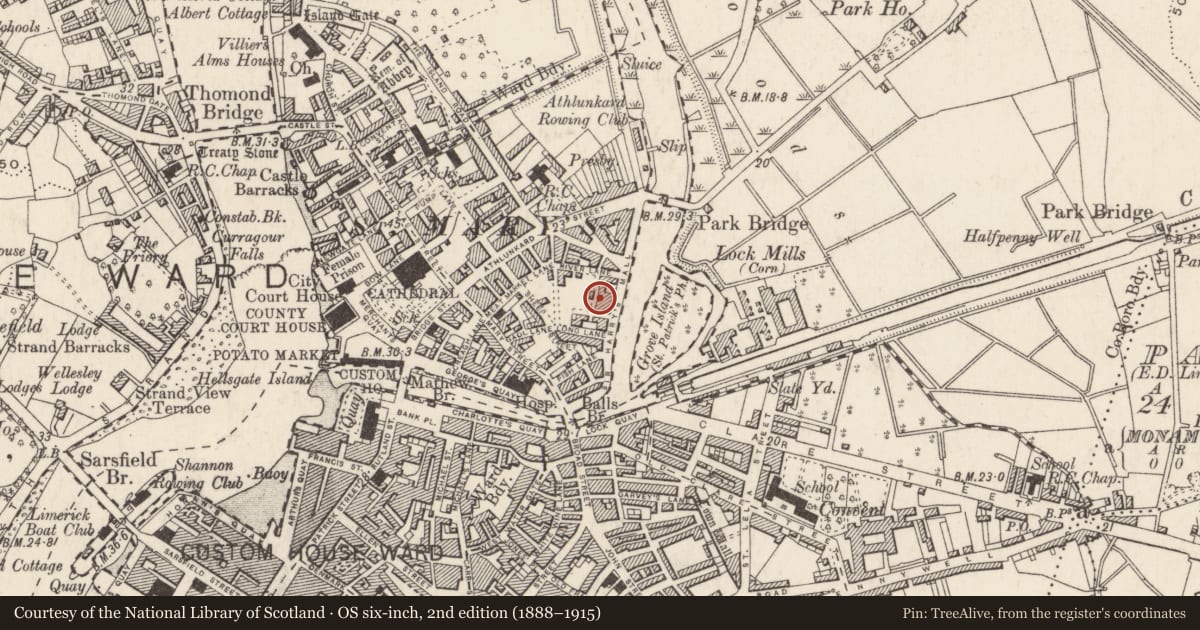 Ordnance Survey six-inch map, 2nd edition (1888–1915) covering the location of Excavation - miscellaneous, Saint Francis Abbey, Limerick City, County Limerick, with a pin at the register's coordinates