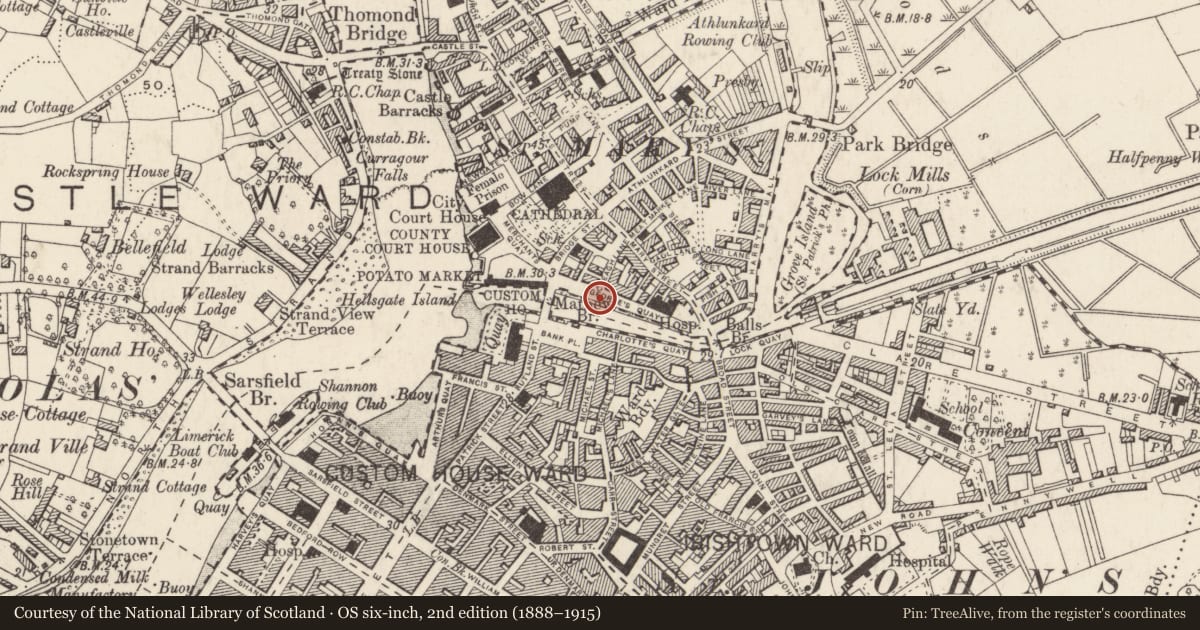 Ordnance Survey six-inch map, 2nd edition (1888–1915) covering the location of Weir - fish, Englishtown, Limerick City, County Limerick, with a pin at the register's coordinates