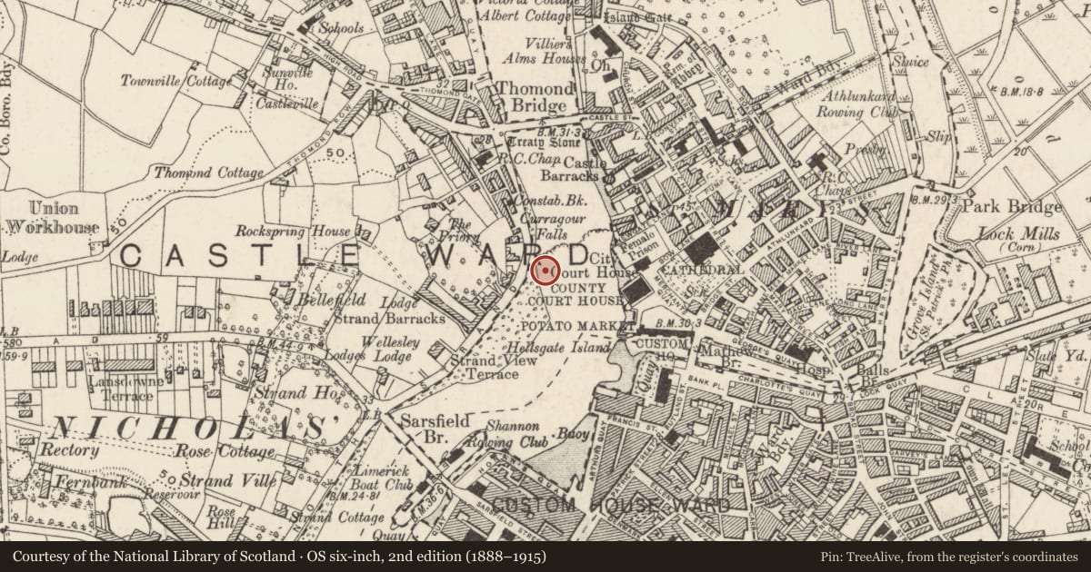 Ordnance Survey six-inch map, 2nd edition (1888–1915) covering the location of Water mill - unclassified, Limerick City, County Limerick, with a pin at the register's coordinates