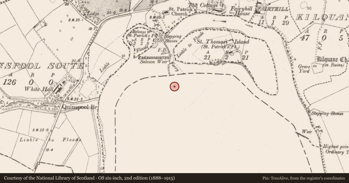 Ordnance Survey six-inch map, 2nd edition (1888–1915) covering the location of Weir - fish, Corbally (Limerick Municipal Borough), County Limerick, with a pin at the register's coordinates