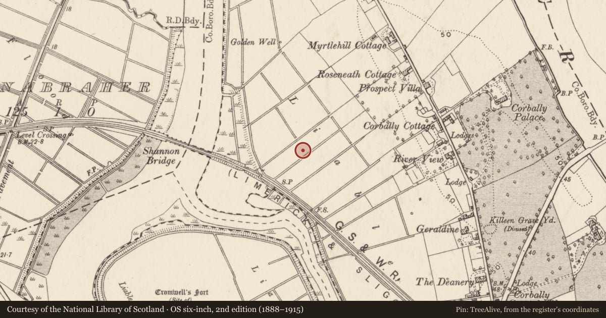 Ordnance Survey six-inch map, 2nd edition (1888–1915) covering the location of Mound, Corbally (Limerick Municipal Borough), County Limerick, with a pin at the register's coordinates