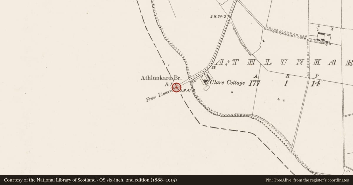 Ordnance Survey six-inch map, 2nd edition (1888–1915) covering the location of Weir - fish, Corbally (Limerick Municipal Borough), County Limerick, with a pin at the register's coordinates