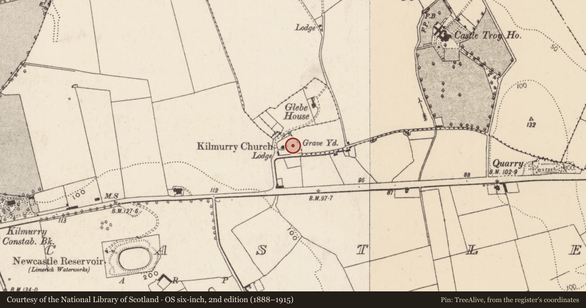 Ordnance Survey six-inch map, 2nd edition (1888–1915) covering the location of Graveyard, Newcastle, County Limerick, with a pin at the register's coordinates