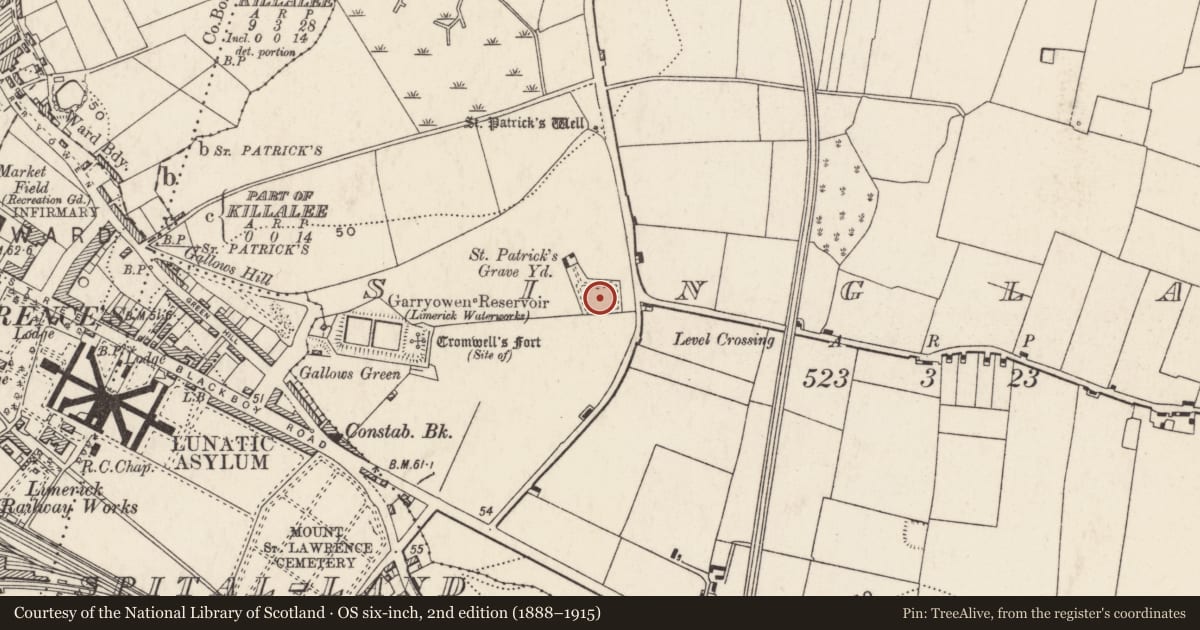 Ordnance Survey six-inch map, 2nd edition (1888–1915) covering the location of Church, Singland, County Limerick, with a pin at the register's coordinates
