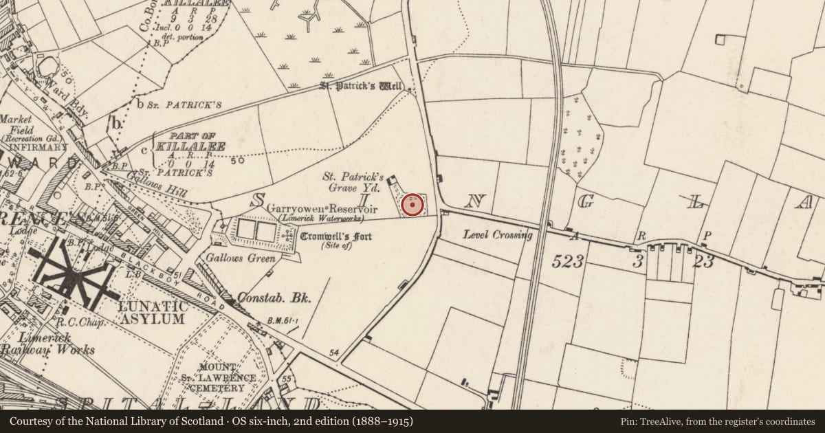 Ordnance Survey six-inch map, 2nd edition (1888–1915) covering the location of Graveyard, Singland, County Limerick, with a pin at the register's coordinates