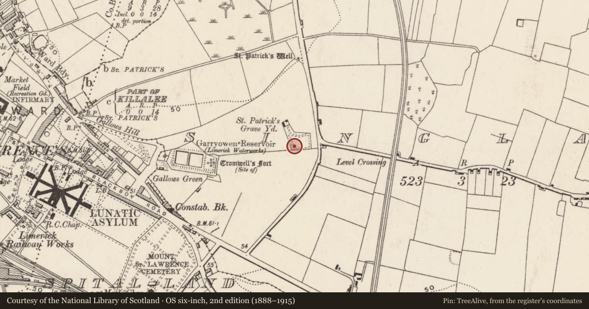 Ordnance Survey six-inch map, 2nd edition (1888–1915) covering the location of Castle - tower house, Singland, County Limerick, with a pin at the register's coordinates