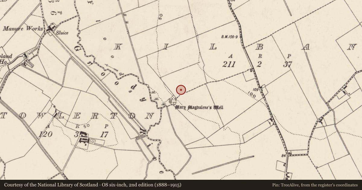 Ordnance Survey six-inch map, 2nd edition (1888–1915) covering the location of Excavation - miscellaneous, Kilbane, County Limerick, with a pin at the register's coordinates