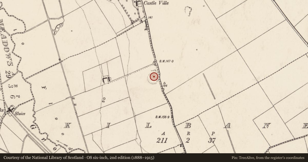 Ordnance Survey six-inch map, 2nd edition (1888–1915) covering the location of Ringfort - rath, Kilbane, County Limerick, with a pin at the register's coordinates