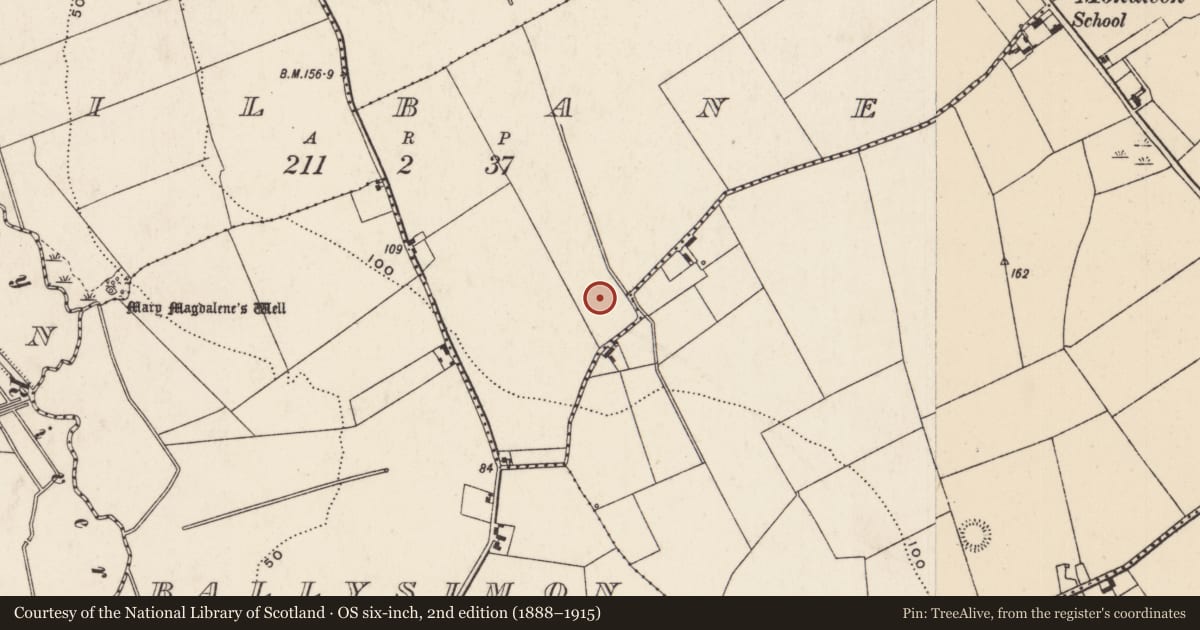 Ordnance Survey six-inch map, 2nd edition (1888–1915) covering the location of Ringfort - rath, Kilbane, County Limerick, with a pin at the register's coordinates