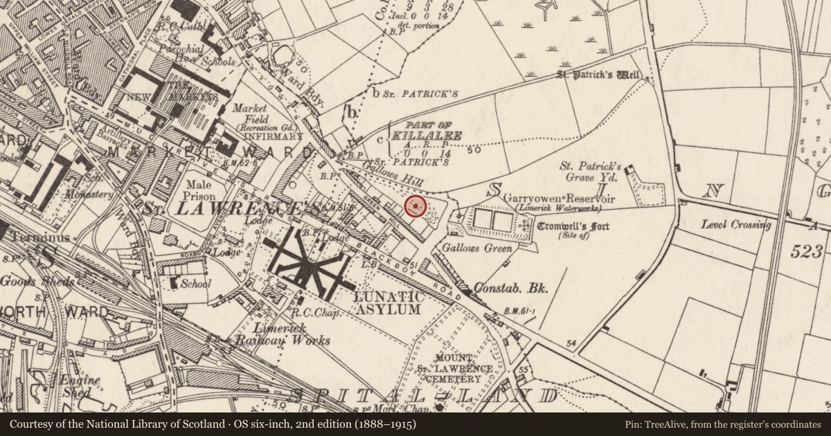 Ordnance Survey six-inch map, 2nd edition (1888–1915) covering the location of Gallows, Spital-Land, County Limerick, with a pin at the register's coordinates