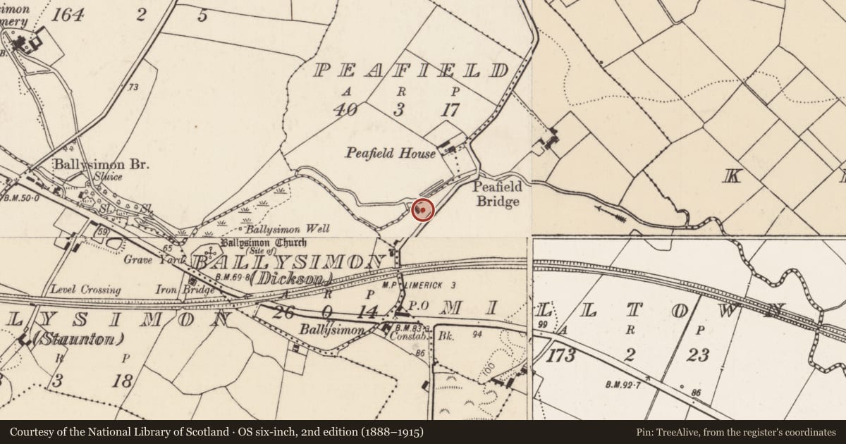 Ordnance Survey six-inch map, 2nd edition (1888–1915) covering the location of Water mill - unclassified, Milltown, County Limerick, with a pin at the register's coordinates
