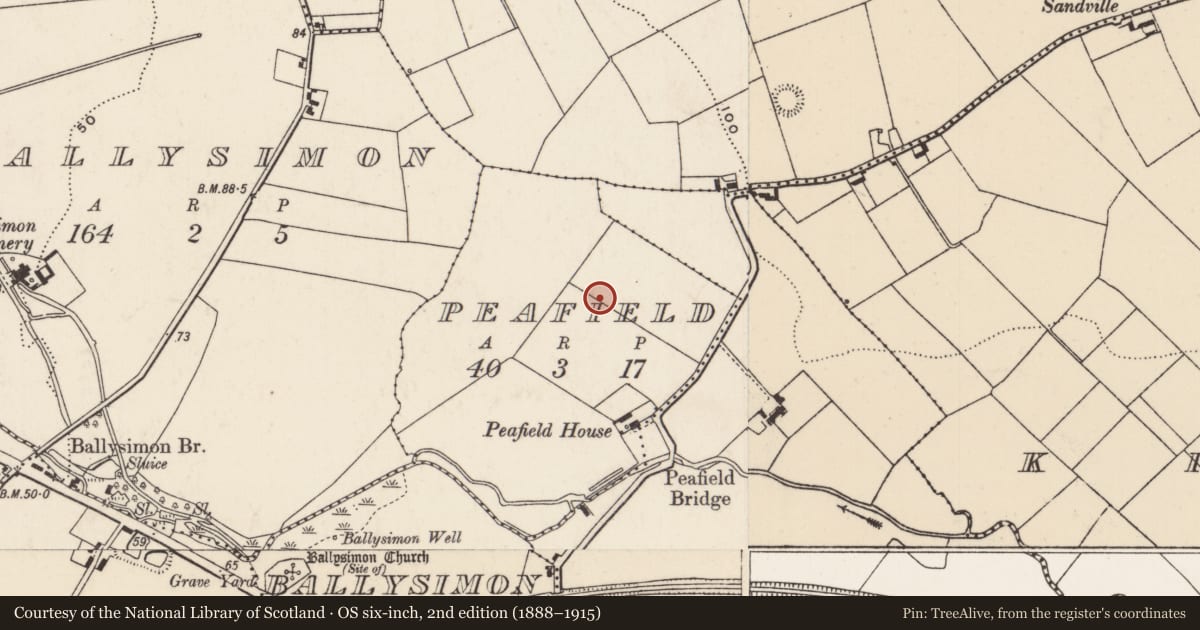 Ordnance Survey six-inch map, 2nd edition (1888–1915) covering the location of Enclosure, Peafield, County Limerick, with a pin at the register's coordinates