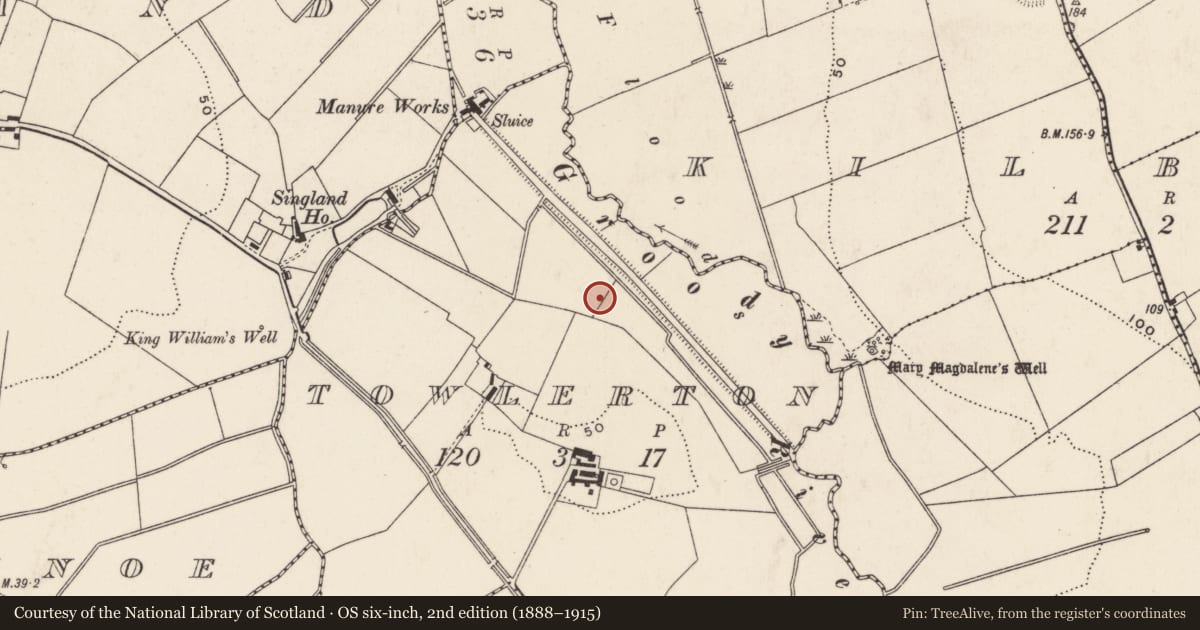 Ordnance Survey six-inch map, 2nd edition (1888–1915) covering the location of Standing stone, Towlerton, County Limerick, with a pin at the register's coordinates