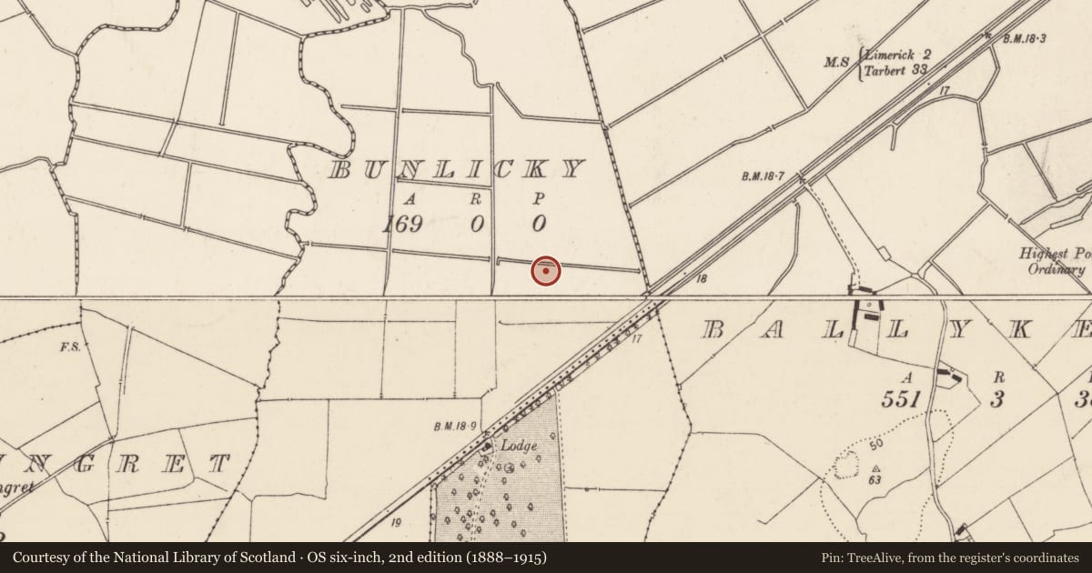 Ordnance Survey six-inch map, 2nd edition (1888–1915) covering the location of Enclosure, Bunlicky, County Limerick, with a pin at the register's coordinates