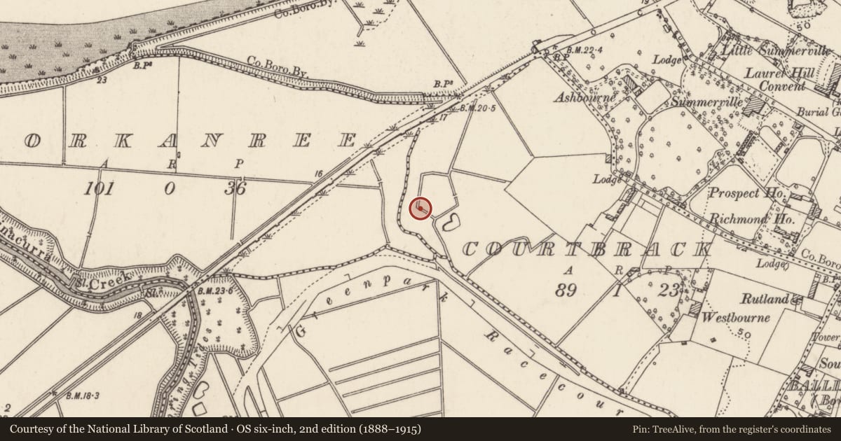 Ordnance Survey six-inch map, 2nd edition (1888–1915) covering the location of Metalworking site, Courtbrack, County Limerick, with a pin at the register's coordinates