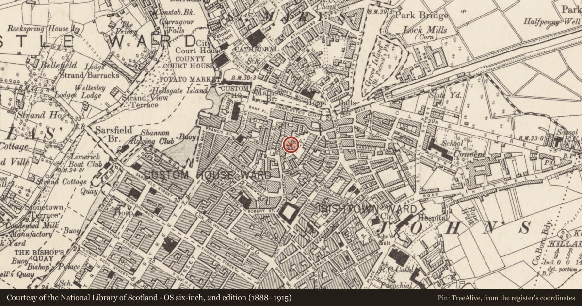 Ordnance Survey six-inch map, 2nd edition (1888–1915) covering the location of Graveyard, Limerick City, County Limerick, with a pin at the register's coordinates