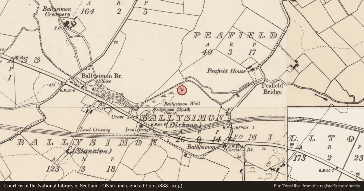 Ordnance Survey six-inch map, 2nd edition (1888–1915) covering the location of Castle - ringwork, Ballysimon, County Limerick, with a pin at the register's coordinates