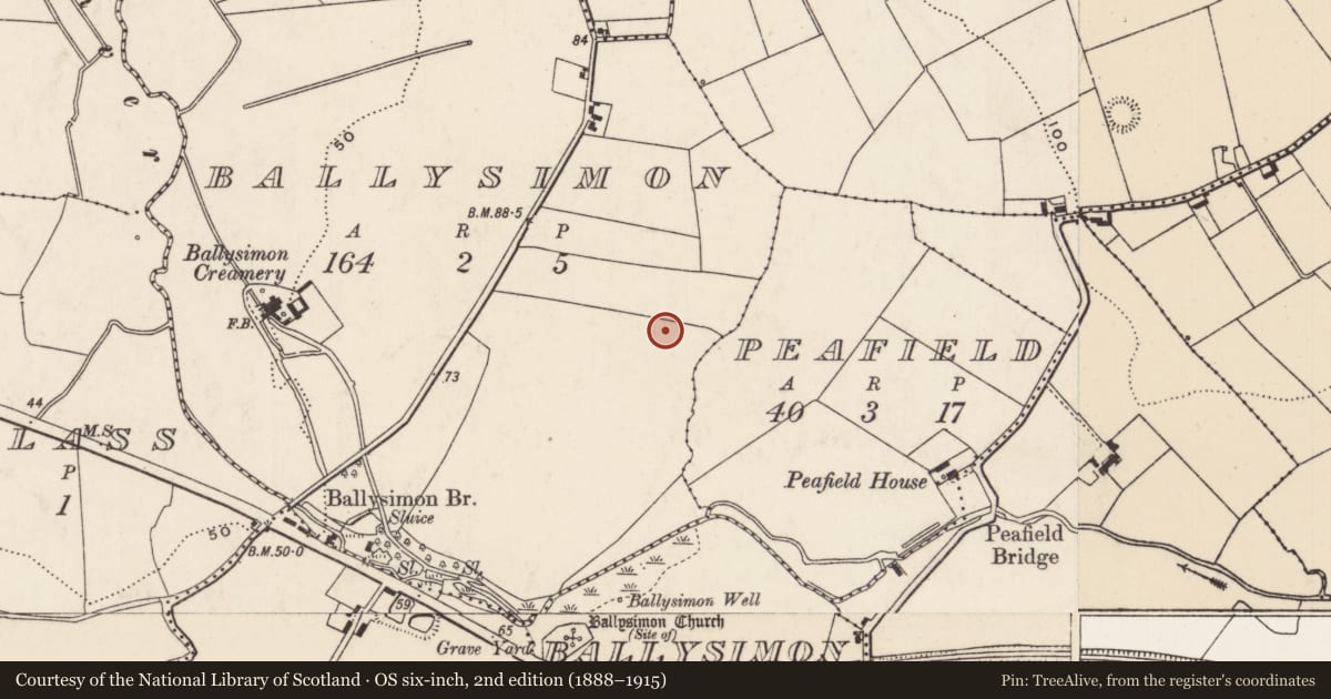 Ordnance Survey six-inch map, 2nd edition (1888–1915) covering the location of Excavation - miscellaneous, Ballysimon, County Limerick, with a pin at the register's coordinates