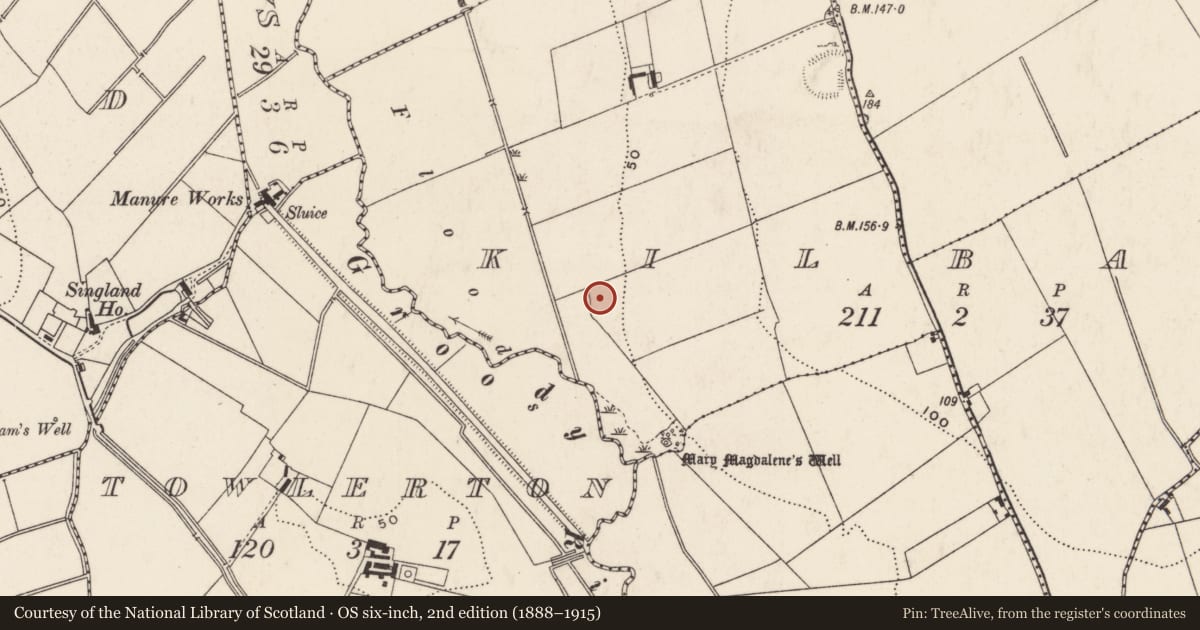 Ordnance Survey six-inch map, 2nd edition (1888–1915) covering the location of Excavation - miscellaneous, Kilbane, County Limerick, with a pin at the register's coordinates