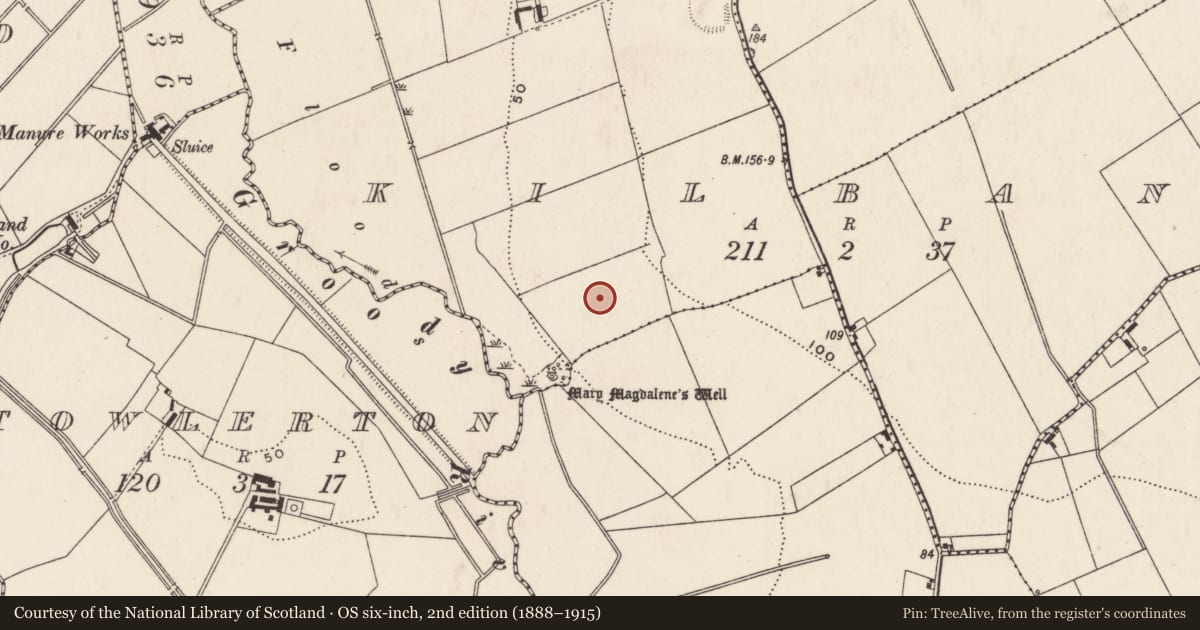 Ordnance Survey six-inch map, 2nd edition (1888–1915) covering the location of Excavation - miscellaneous, Kilbane, County Limerick, with a pin at the register's coordinates