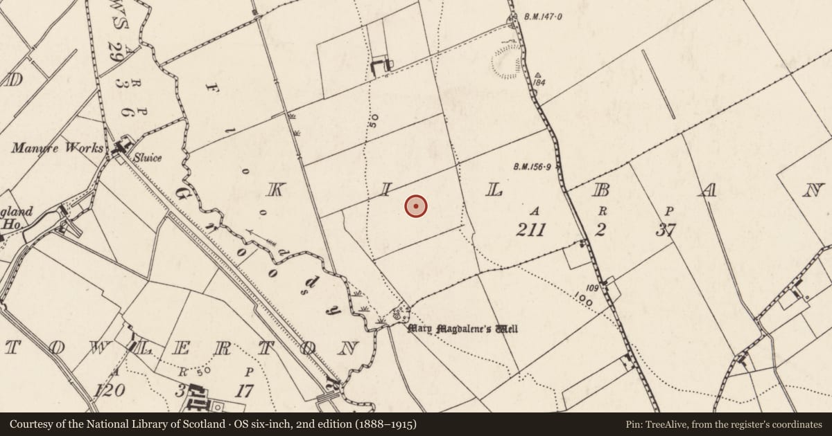 Ordnance Survey six-inch map, 2nd edition (1888–1915) covering the location of Excavation - miscellaneous, Kilbane, County Limerick, with a pin at the register's coordinates
