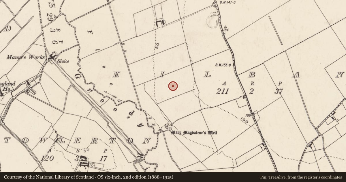 Ordnance Survey six-inch map, 2nd edition (1888–1915) covering the location of Kiln - corn-drying, Kilbane, County Limerick, with a pin at the register's coordinates