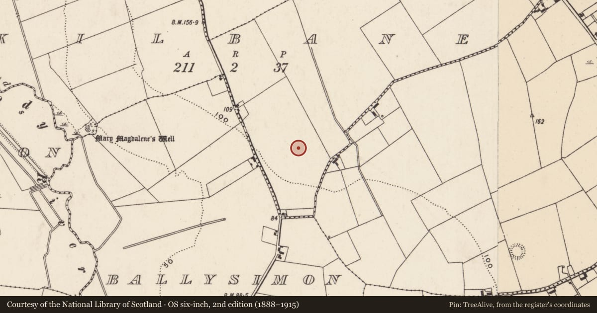 Ordnance Survey six-inch map, 2nd edition (1888–1915) covering the location of Excavation - miscellaneous, Kilbane, County Limerick, with a pin at the register's coordinates