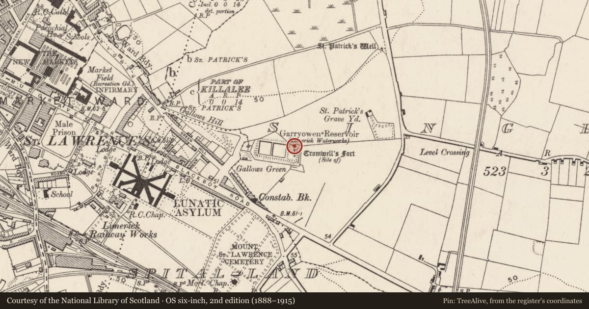 Ordnance Survey six-inch map, 2nd edition (1888–1915) covering the location of Road - road/trackway, Limerick City, Singland, County Limerick, with a pin at the register's coordinates