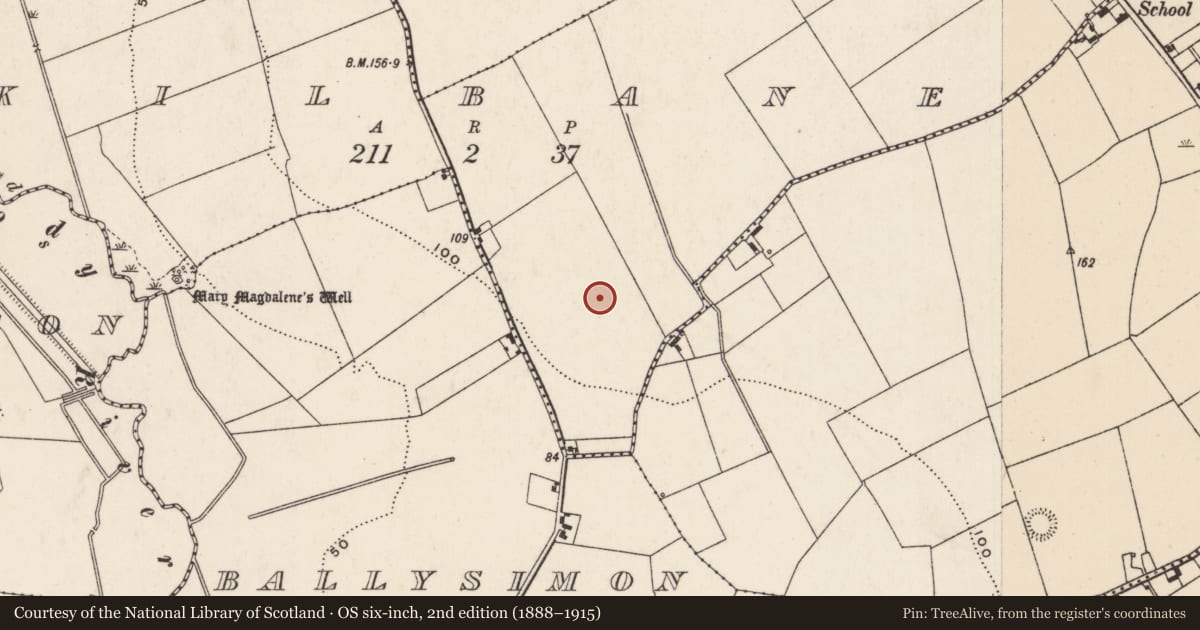 Ordnance Survey six-inch map, 2nd edition (1888–1915) covering the location of Flat cemetery, Kilbane, County Limerick, with a pin at the register's coordinates