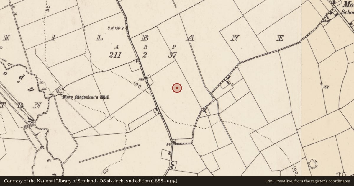Ordnance Survey six-inch map, 2nd edition (1888–1915) covering the location of Flat cemetery, Kilbane, County Limerick, with a pin at the register's coordinates