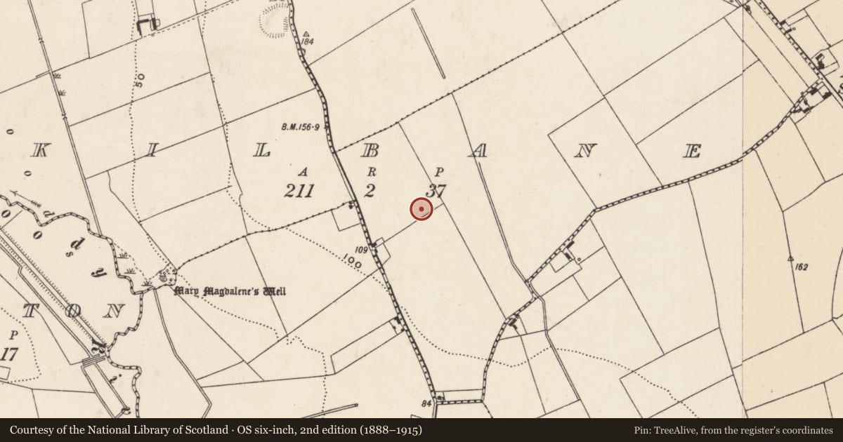 Ordnance Survey six-inch map, 2nd edition (1888–1915) covering the location of Flat cemetery, Kilbane, County Limerick, with a pin at the register's coordinates
