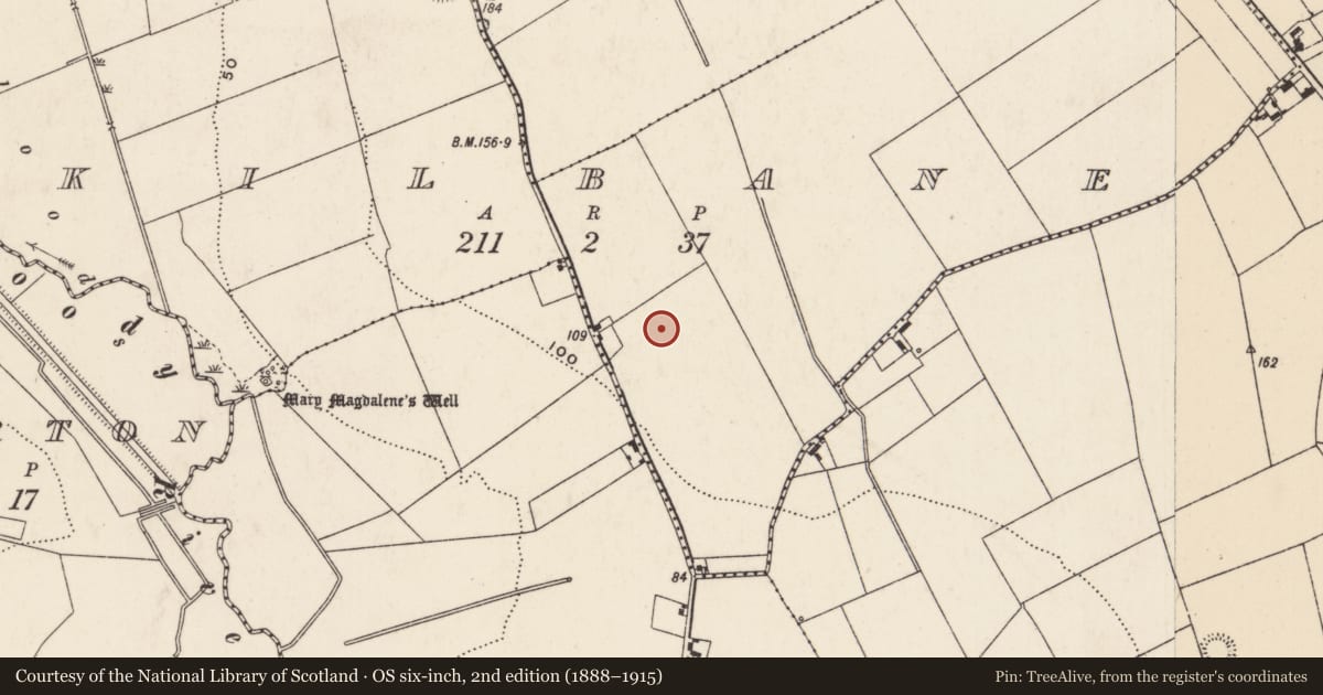 Ordnance Survey six-inch map, 2nd edition (1888–1915) covering the location of Excavation - miscellaneous, Kilbane, County Limerick, with a pin at the register's coordinates